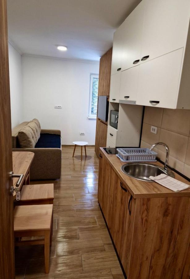 Suncana Planina Kopaonik Apartment ภายนอก รูปภาพ